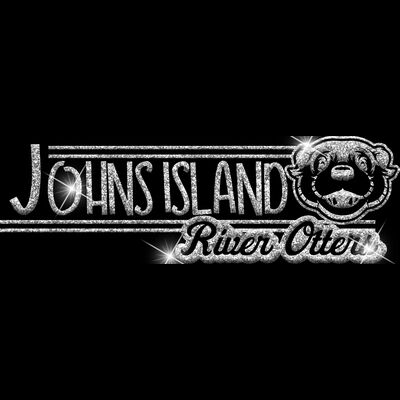 GLT101 SILVER GLITTER Thumbnail